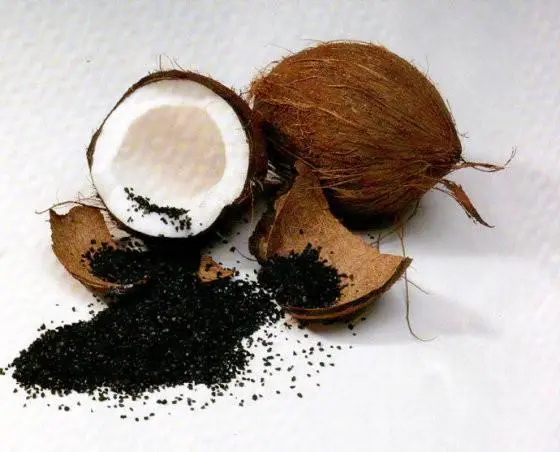 Cyflenwad Ffatri Carbon Cnau Coco Cragen Gronynnog Cragen Cnau Coco Golosg Carbon Wedi'i Actifadu Gradd Bwyd