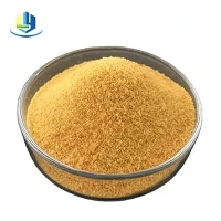 Clorid Polyaluminum yn Oilfield