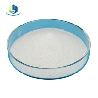 Flocculant Di-ddyfrio Cationig Uchel Effeithlon CPAM CAS 9003-05-8 PAM cationig