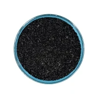 Ffatri Gwerthu Ïodin Siarcol gronynnog 1000 Triniaeth Puro Dwr Lleithder Isel Hidlo cetris Cragen Cnau Coco Carbon Actifedig