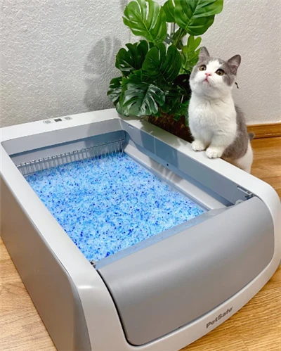 Sbwriel Cat Tofu Sampl Rhad ac Am Ddim Cyflenwadau Glanhau Anifeiliaid Anwes Silica Gel Cat Sbwriel Cyfanwerthu