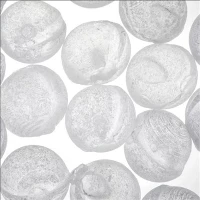 Trin Dŵr 1mm 3mm 6mm 10mm 20mm Gronynnog Siliphos Polyphosphate Crystal Crystal RO Antiscale Balls